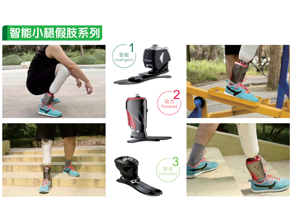 下肢假肢