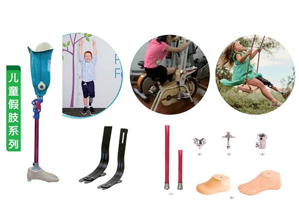 下肢假肢