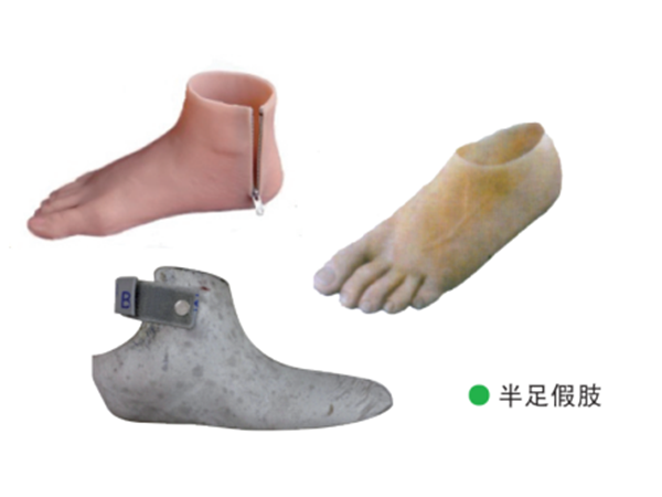 下肢假肢
