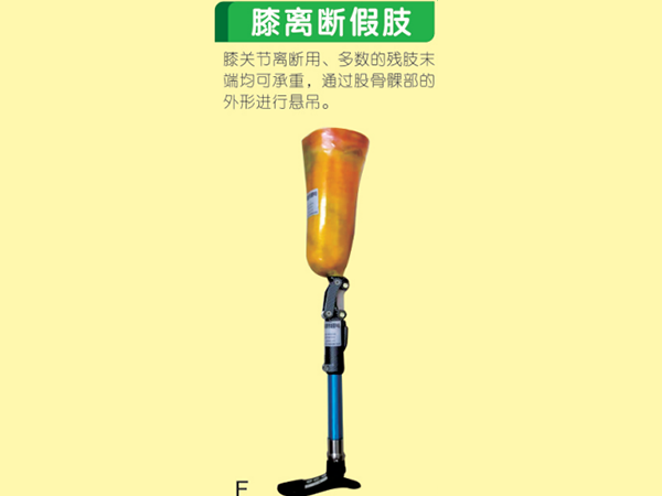 下肢假肢