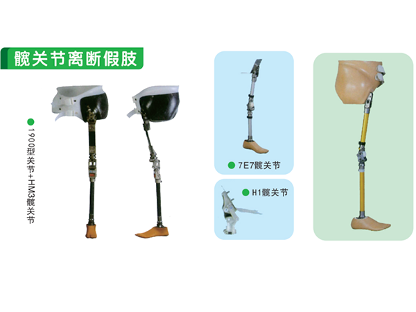 下肢假肢