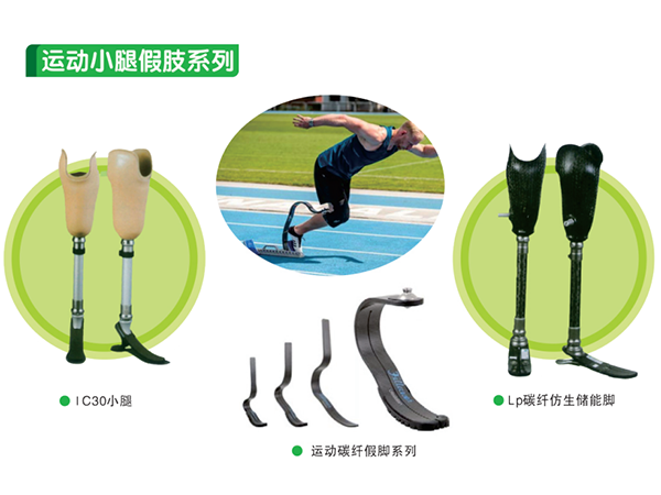 下肢假肢