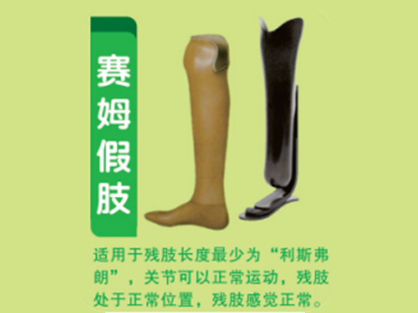下肢假肢